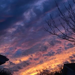 Meet your Posher, Edith